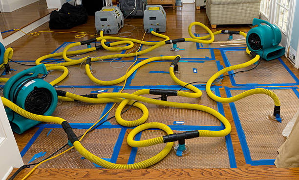 Professional Burst Pipe Water Damage technician working in Saint Johns, MI