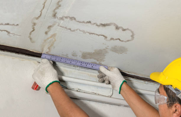 Affordable Water Damage Repair solutions in Saint Johns, MI